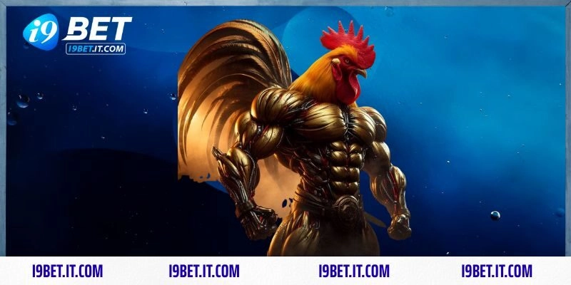 Kiến thức cần biết của Đá gà I9BET