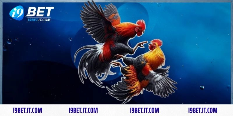 Nắm chắc bí kíp từ các cao thủ