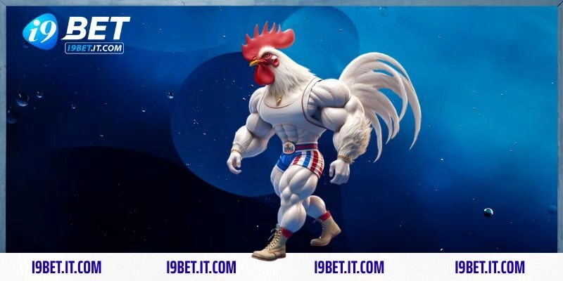 Trải nghiệm game đá gà với các bước cơ bản