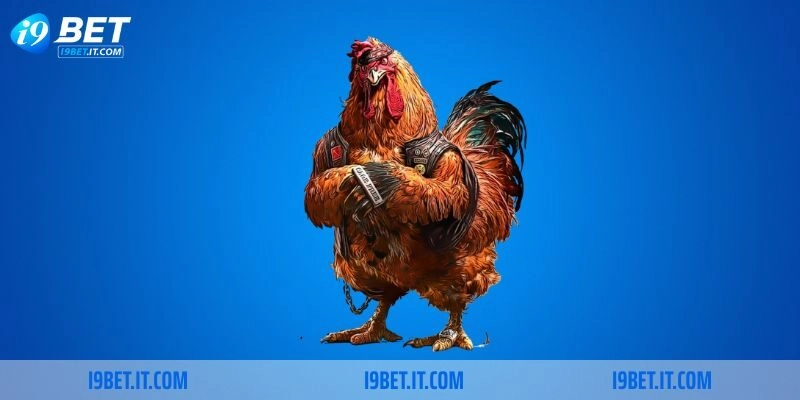 Lý do nên xem trực tiếp đá gà tre tại nhà cái I9BET