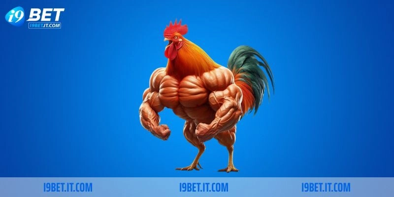 Hướng dẫn theo dõi đá gà tre trực tiếp tại I9BET